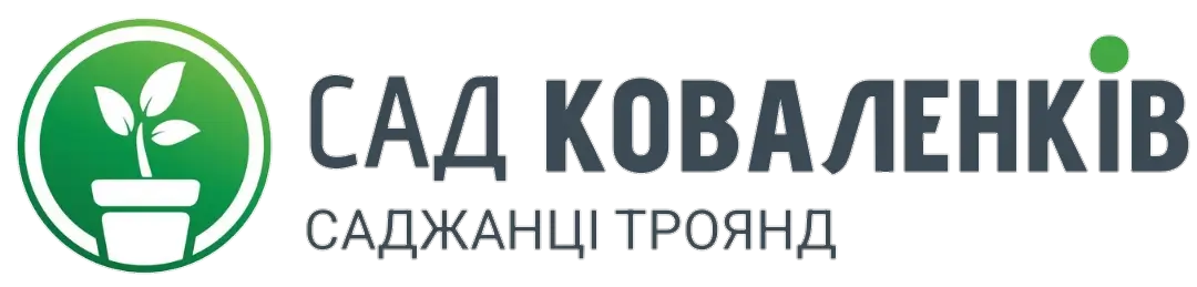 Логотип компанії